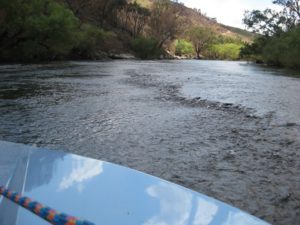 jetboating_nsw_50_20110807_2006500515