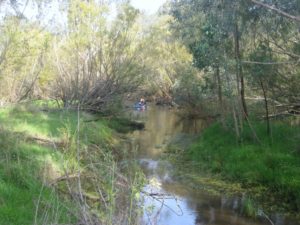 jetboating_nsw_74_20110807_1869155382