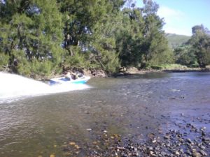 riverina_13_20090414_1734759122