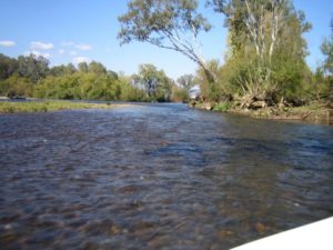 riverina_41_20090414_2068250978